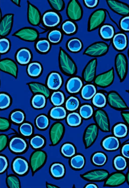 Fabric #862